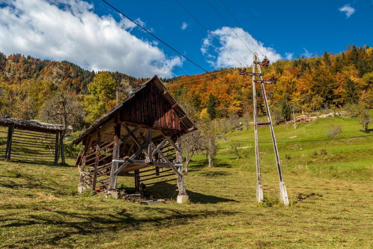 Holiday House Jereka -ボーヒニ エクステリア 写真