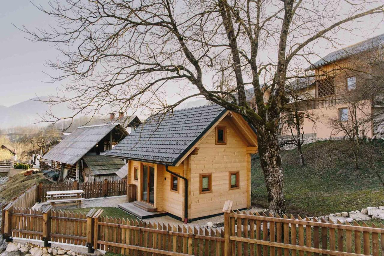 Holiday House Jereka -ボーヒニ エクステリア 写真